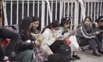 Cảnh fan vạ vật