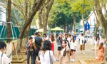 Hà Nội mùa cây thay lá, giới trẻ mê mẩn check-in với thảm lá vàng rực rỡ