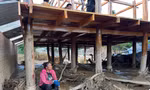 Bản vùng cao ở Điện Biên thiếu gạo, thiếu nước sau cơn lũ quét