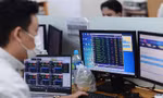 Chưa từng có: Gần 380.000 tài khoản chứng khoán 'biến mất'