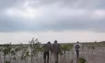 Thái Bình thu hẹp gần 90% khu Bảo tồn thiên nhiên Tiền Hải: Bất chấp luật và Công ước quốc tế?