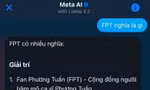 Meta AI có mặt tại Việt Nam: Trợ lý công nghệ "tẻn tẻn", "giải trí" nhiều hơn "giải pháp"