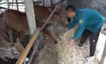 Cảnh báo không khí lạnh gây rét đậm, rét hại, mưa rất to tại TT-Huế