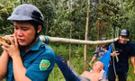 Giải cứu 2 người dân bị ong đốt tới hôn mê 
