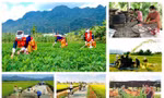 Cơ bản hoàn thành các nhiệm vụ về Chương trình MTQG DTTS của cấp trung ương