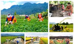 Giao kế hoạch vốn cho các địa phương thực hiện 3 chương trình mục tiêu quốc gia. Ảnh minh hoạ
