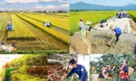 Khẩn trương hoàn thiện thủ tục để giao kế hoạch vốn cho các Chương trình Mục tiêu quốc gia. Ảnh minh họa