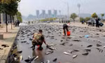 Bí ẩn không lời giải về thành phố ‘mưa cá’ hàng năm
