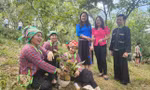 Hỗ trợ bình đẳng giới đối với phụ nữ và trẻ em