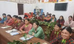 Nhiều thành tựu đạt được trong việc đảm bảo tiếng nói và sự tham gia thực chất của phụ nữ, trẻ em