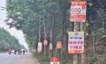 Bộ Xây dựng: Cơn sốt đất điên đảo chính thức lắng xuống