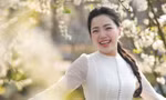 MC Đồng Thu khoe sắc giữa mùa hoa mận Mộc Châu
