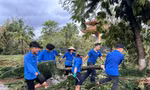 Sinh viên Quảng Ninh tình nguyện hỗ trợ khắc phục hậu quả bão YAGI