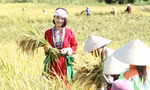 9X xứ Thanh khởi nghiệp thành công với mô hình vườn rừng bản Thổ