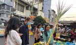Mía cây, cá chép đường... 'đắt như tôm tươi' dịp ông Công ông Táo