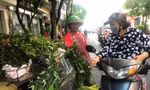 ‘Bán hết xe lá xông, kiếm được 500.000 đồng…’