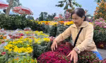 Chợ hoa Tết giá 'mềm' hút khách có thu nhập thấp