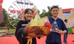 'Vua gà Tiên Yên' - cuộc thi có một không hai