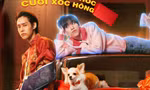 Billkin - PP Krit lên lịch tổ chức "wedding co...", làm concert hay đám cưới?