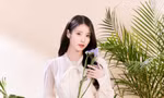 Siêu hit "Good Day" và 5 ca khúc khác bị tố đạo nhái, phía IU phản hồi ra sao?