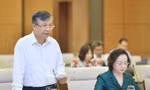 9 nhóm ngành, lĩnh vực được đề nghị phân cấp cho chính quyền TPHCM