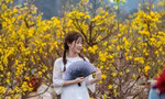 Giới trẻ Hạ Long đổ ra chợ hoa xuân chụp ảnh 