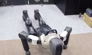 Lần đầu tiên trên thế giới các robot AI vật lý được 'bảo hiểm phi nhân thọ'