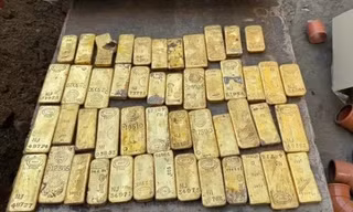 Một sinh viên vô tình phát hiện số vàng trị giá gần 274 tỷ đồng