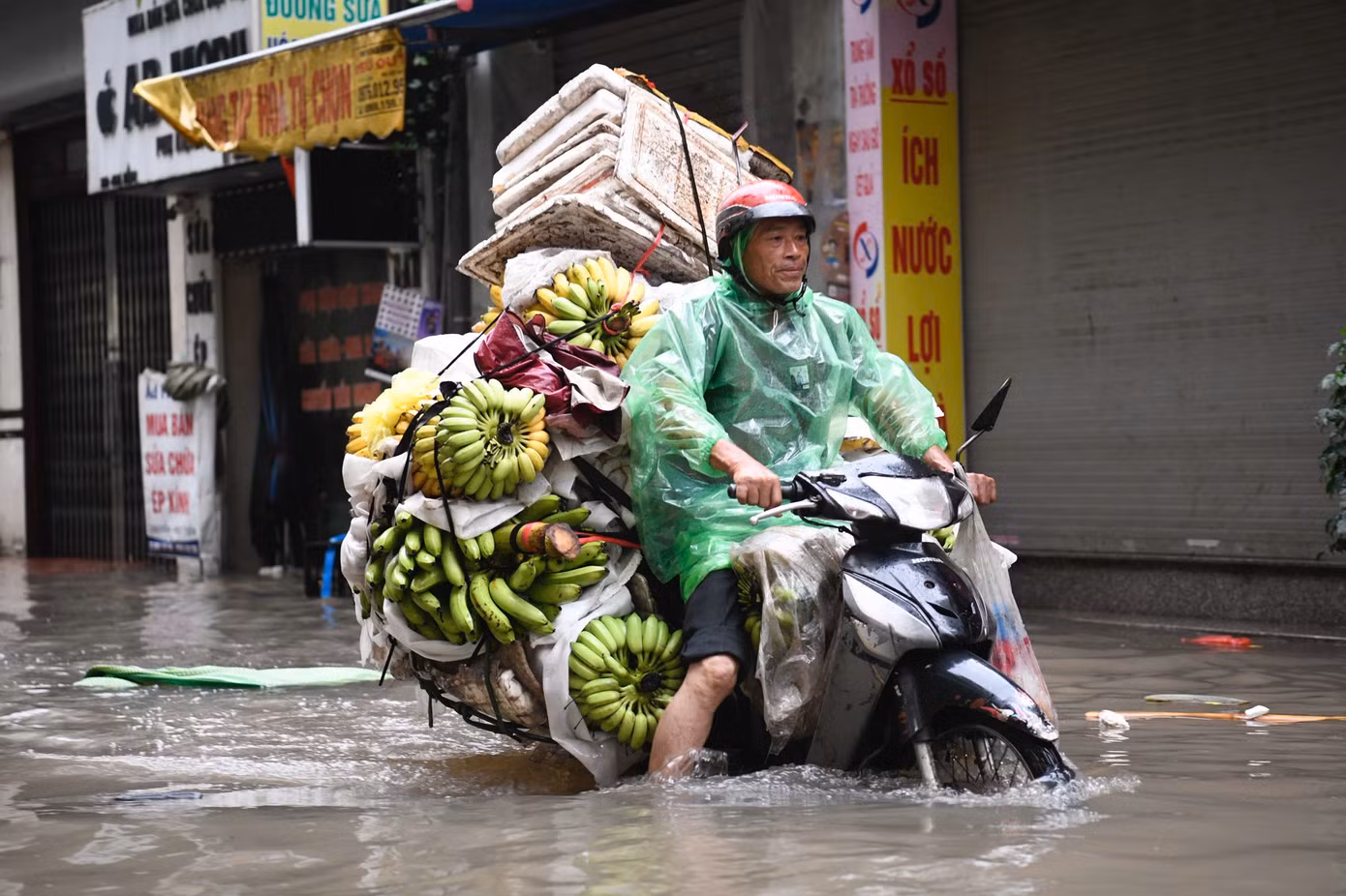 ngo-hoa-bang.jpg