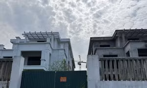 Phía sau biệt thự vùng ven Hà Nội giá hơn 100 triệu đồng/m2