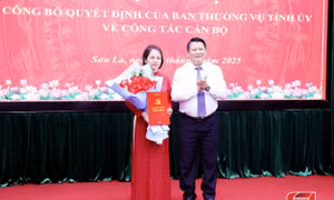 Điều động, bổ nhiệm, bầu nhân sự mới ở 4 tỉnh