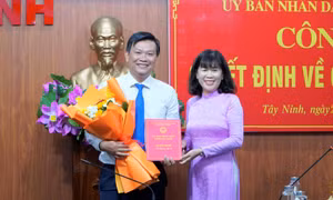 Điều động, bổ nhiệm cán bộ chủ chốt ở 4 tỉnh, thành