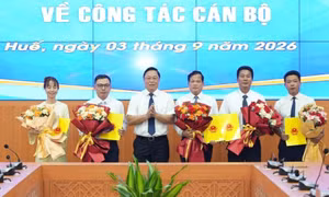 Điều động, bổ nhiệm nhân sự mới ở 4 tỉnh, thành
