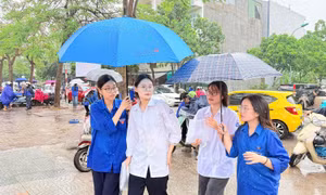 Thanh niên đất Cảng đội mưa tiếp sức sĩ tử