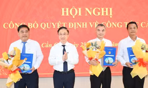 Công bố quyết định của Ban Thường vụ Thành ủy TPHCM về công tác cán bộ