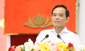 Cử tri biểu dương việc biến đất vàng thành công viên, Bí thư Thành ủy TPHCM nói 'nên cảm ơn doanh nghiệp'