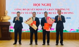 Điều động Giám đốc Ban quản lý dự án Hải Phòng giữ chức Bí thư xã