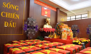 Phát hiện, quy tập thêm 8 hài cốt liệt sĩ tại rãnh mộ thứ hai Công viên Lê Thị Riêng