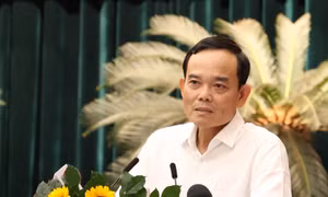 Bí thư Thành ủy TPHCM Trần Lưu Quang: 'Chúng ta không có đường lùi...'