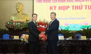 Thủ tướng điều động, bổ nhiệm, phê chuẩn nhân sự