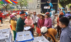 Tiếp sức người dân vùng lũ gây dựng sinh kế