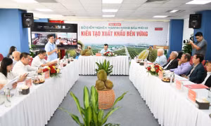Sầu riêng Việt Nam: Tăng trưởng tỷ USD và bài toán quản trị ngành hàng