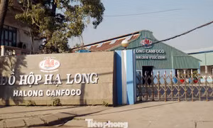 Trụ sở Công ty CP đồ hộp Hạ Long, trên phố Lê Lai, TP Hải Phòng.