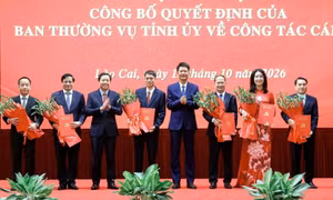 Công bố quyết định của Ban Thường vụ Tỉnh ủy Lào Cai về công tác cán bộ