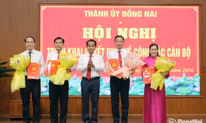 Điều động, bổ nhiệm nhân sự ở 3 tỉnh, thành