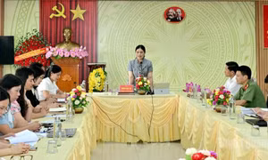 Ban Chỉ đạo và Hội đồng thi ở Tuyên Quang được tổ chức thế nào?