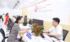 Thành ủy TPHCM phân cấp tuyển dụng công chức, viên chức 