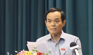 Cử tri bất an về an toàn thực phẩm, Bí thư Thành ủy TPHCM nói gì?