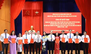 Chỉ định nhân sự chủ chốt Đảng bộ MTTQ Việt Nam TPHCM