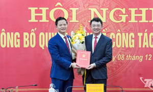 Điều động, tiếp nhận, bổ nhiệm nhân sự ở 3 tỉnh, thành